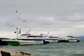 BUDO Seferleri Kötü Hava Durumu Yüzünden İptal Edildi