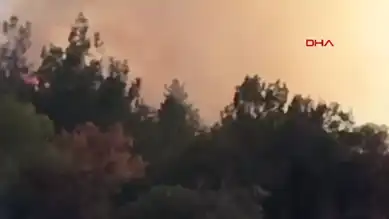 Bursa'da Orman Yangını Tehlikesi!
