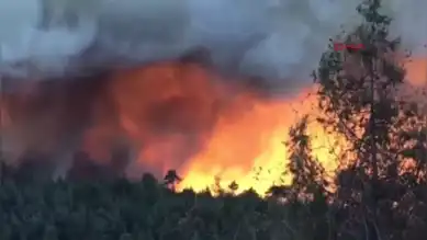 Orman Yangınına Hızlı Müdahale