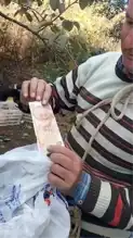 Hurma Bahçesinde Dürüstlük Örneği: 50 TL