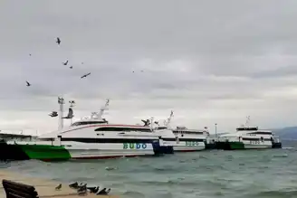 BUDO Seferleri Kötü Hava Durumu Yüzünden İptal Edildi