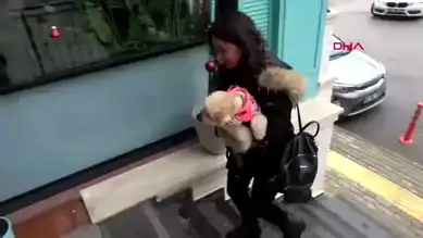 Sokak Hayvanları İçin Lezzetli Dayanışma
