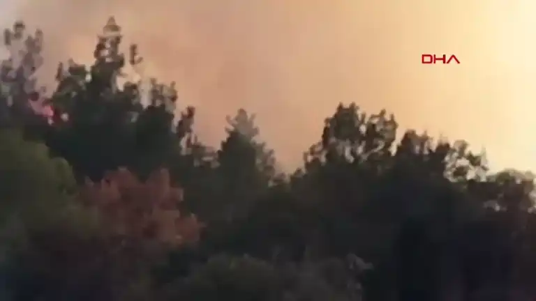 Bursa'da Orman Yangını Tehlikesi!