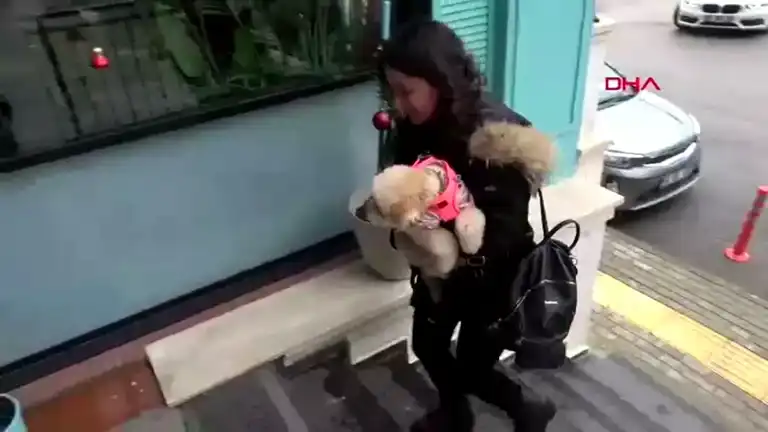Sokak Hayvanları İçin Lezzetli Dayanışma